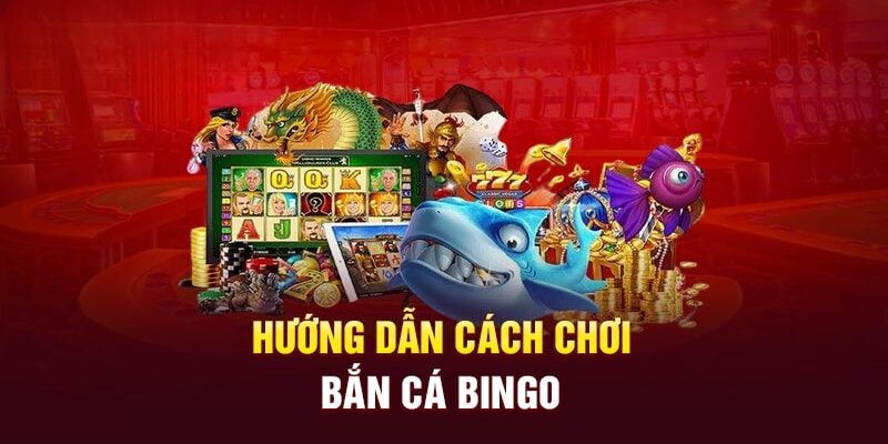 Bắn Cá Bingo Là Gì? Kinh Nghiệm Chơi Game Hay Tại Kubet