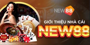 Sơ lược về nhà cái New88