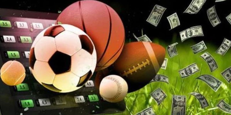 Sức hấp dẫn không thể bỏ lỡ tại thể thao 77bet